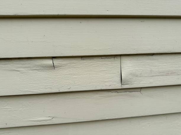 Property Management Cleanouts in South Park, WY
